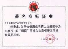 /2013/ShanDong/pho/rongyu/1136731.jpg